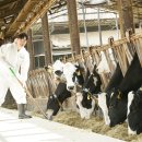 용화목장 이미지