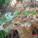 신천농장 이미지