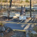 방죽포해수욕장(송림) 이미지