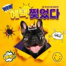 와우펫마트