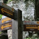 홍천군청 이미지