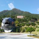 산청 동의보감촌 이미지