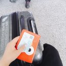 장춘약국 | 20160616 상해여행① - 비행기 난징동루 예원야경