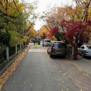 오정로252번길 이미지