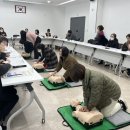 서농동 이미지
