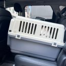 답21동물병원 이미지