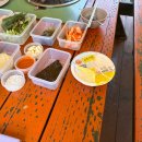 초원 숲속 야영장 이미지