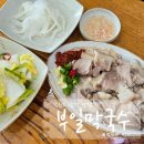 (주)부일 - 18350 | 삼척 맛집 부일막국수 솔직 후기, 백김치 수육 찰떡 조합