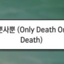 푸드항