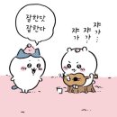 #6 모르는 이웃들이 있구만~ 재수생이라는 것이얌