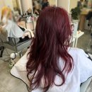 홍대 미용실 유아트헤어 탈색없는 레드염색 후기 이로 디자이너님 추천