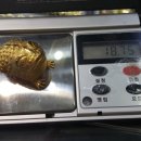 금두꺼비 이미지