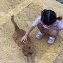 추암농장 이미지