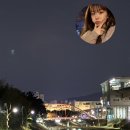 나는야 야망징어🦑