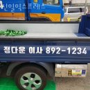 신일익스프레스