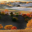 대경수지 이미지