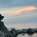 솔내음민박 | 영덕 울진2박3일 여행 후기