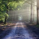 환경교육전문가 자격증 이미지