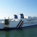 카멜리아 이미지