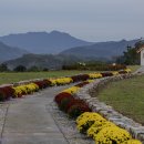 무궁화집 이미지