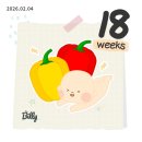 한림정밀 이미지