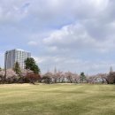 수원-0411 이미지