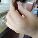 다비도프시가 PRIMEROS ESCURIO 프리메로스 에스큐리오 : 아직은 많이 어렵지만 궁금해서 체험해 본.