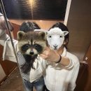 성원ENG | 미루다미루다보니 11월달