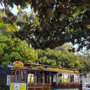 오라클빌딩 | 샌프란시스코#5] 샌프란시스코에서의 마지막 일정 (오라클파크 투어 / 김태균 자만추 / 웨이모 탑승후기)