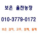 보은농장 이미지