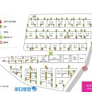 함박금스테이 - 1151 | 함박금스테이