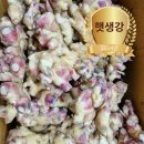 조아팜