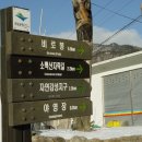 달밭재 | 소백산 겨울산행 후기