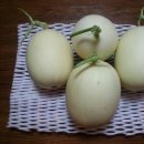 늘푸른농장2 이미지