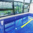 아비엥또 이미지