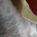 디위드동물병원 이미지