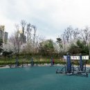 초안산 붕붕도서관 이미지