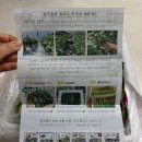 농부의 꿈 | [20종 모듬채소 추천] 농부의 꿈 양주농부 이범석 쌈채소 주문 후기