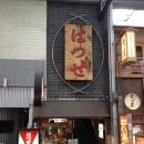 블루하와이 이미지