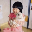 김향기 카카오 검색결과