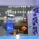 온누리 강변 프라자 약국 이미지