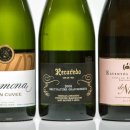 나투레(NATURE) 이미지