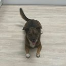 죽포보건진료소 이미지