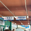 블루파크 | [부산/해운대] 부산 해운대블루라인파크 해변열차 주말 탑승 후기