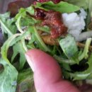 태희네 농장 이미지