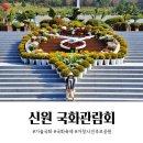 신원거창사건사업소 | 신원 국화관람회 거창사건추모공원 국화축제 개화 상황