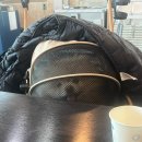 화도면-2 | 백도씨짬뽕순두부 애견동반가능 (인천 강화군 화도면 문산리)