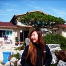 문규농장 이미지