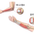 서부통신경외과의원 이미지
