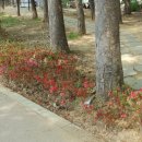 백운동행정복지센터 이미지